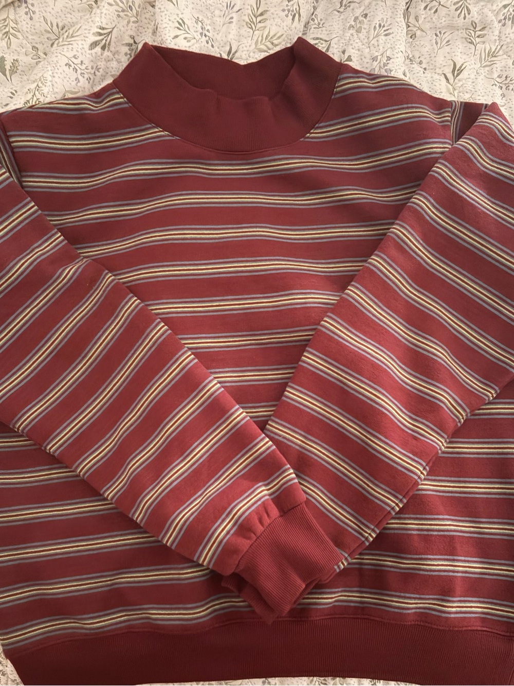Parke Burgundy Striped Mock Neck Sweatshirt